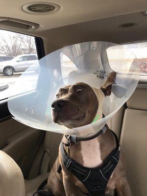 Post-Op: "Mr. DeMille, I'm Ready for My Close-Up..."