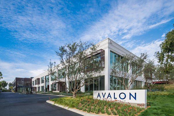 Brandtailers - Avalon Building