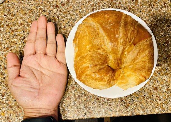 See how huge their croissants are?! You have to try them! The ham & cheese croissants are yummy, too. (Also have ham & cheese w jalapeños)