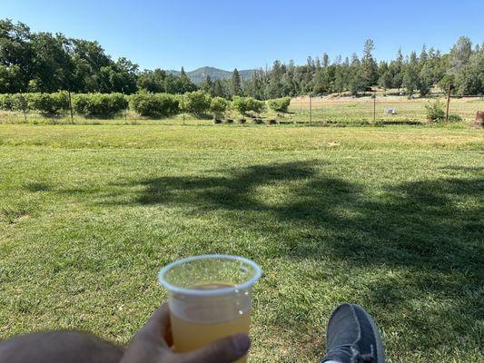 Indigeny reserve apple cider