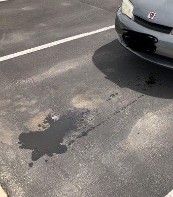 Oil leak after a simple oil change.