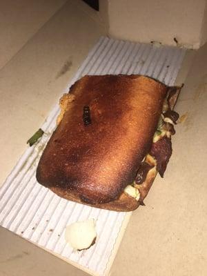 Burnt sandwhich!