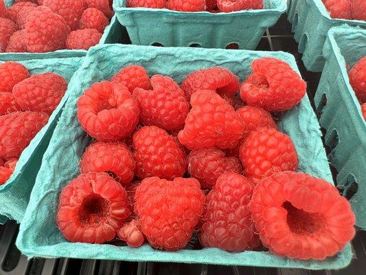 Raspberries