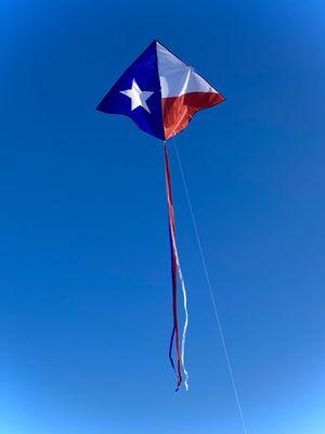 Texas delta kite