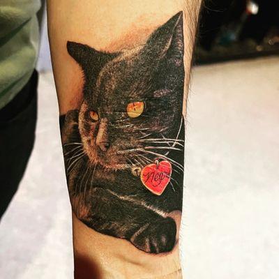 Scar cover up.  My beloved cat.