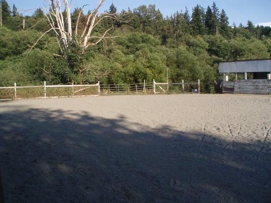 Outdoor arena with all-weather footing