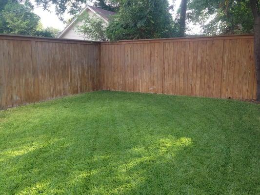 This is the before pic of a fence we stained.