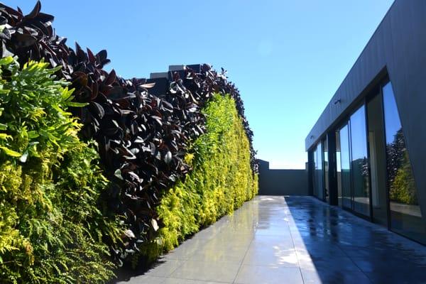 Florafelt Vertical Garden, Private Residence, San Francisco.