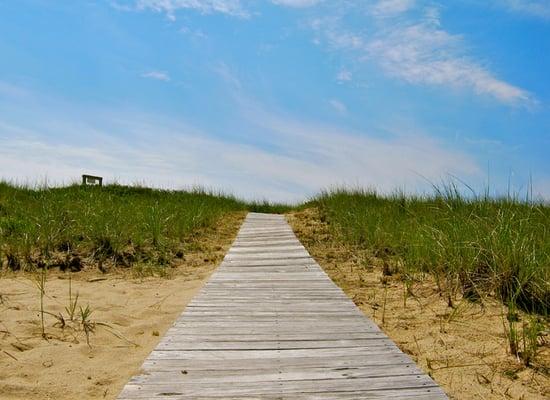 Ocean Dunes