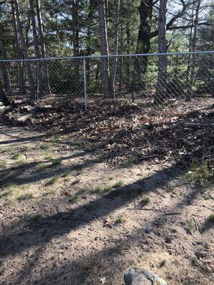 Leaves along the back fence I was told would be removed.