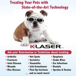 We also offer a k-laser therapy program!