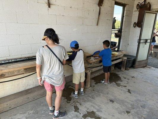 Private Visit to the Farm 6 people for 1 hour visit $85 includes feeding the animals and gem mining!