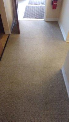 Dentist Office Carpet Cleaning