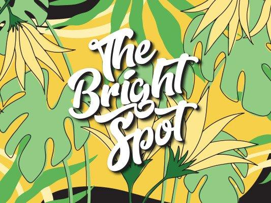 Check out The Bright Spot! www.thebrightspot.com