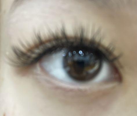 I Love Lash