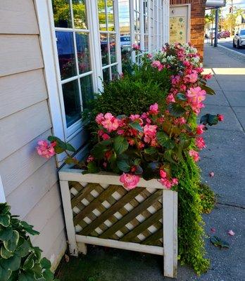 Window boxes - (9/21/2021)