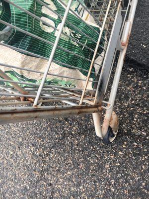 Old Rusty Carts to put our fresh food in