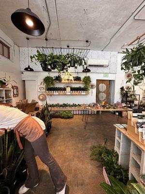 Plant Shoppe