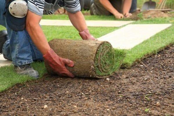 landscaping services in san antonio tx