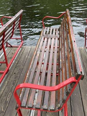 Swan Boats of Boston