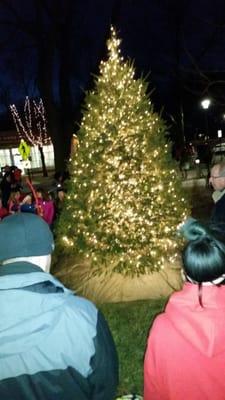 Annual Tree Lighting Ceremony