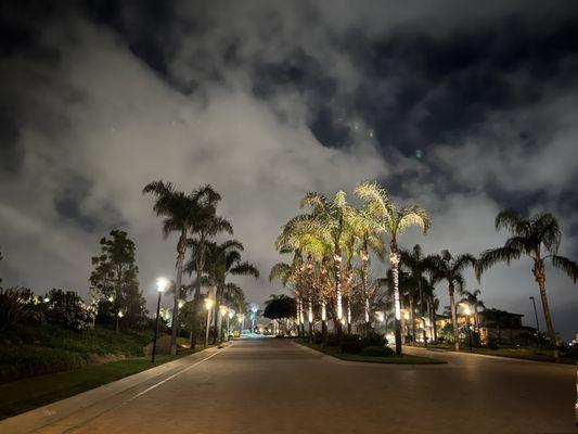 View of driveway at night