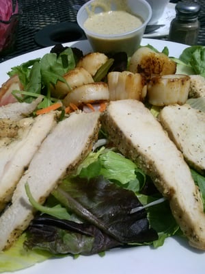 house salad with grilled chicken and scallops