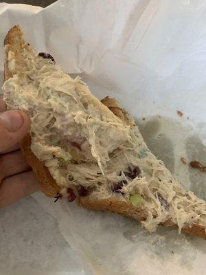 A sad chicken salad melt where they forgot to put cheese on it.