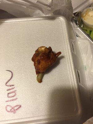 This is one of the "wings" they sent. Looks a little sad doesn't it?