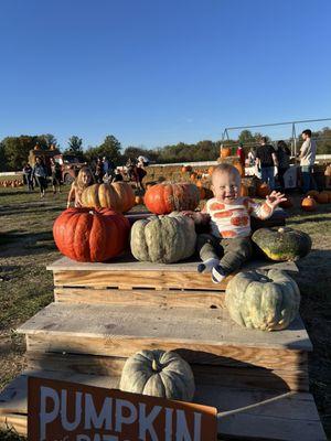 Pumpkins