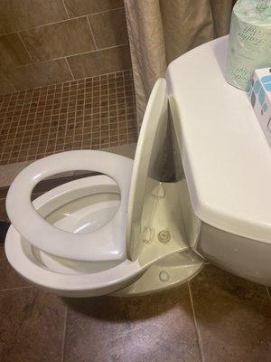 Broken Toilet Seat