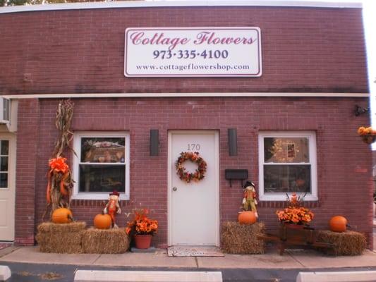 Fall is in full bloom at Cottage Flowers