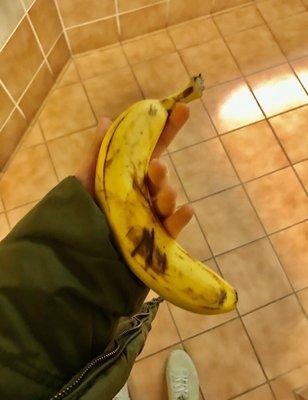 Got this banana at the AMU - peak ripeness. 10/10. Also the lady at the check out told me she liked my hat. So that was a win.