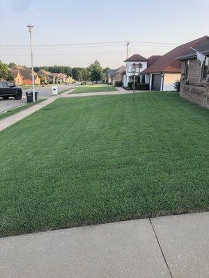 BLC Pest & Lawn