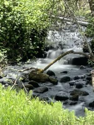 Waterfall in the park