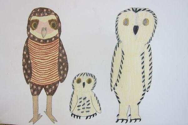 Owl family!