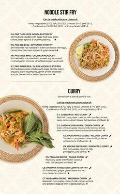 NOODLE STIR FRY & CURRY