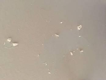 Peeling Paint in all rooms! This is what you expect at the Copa Pacific Apt. Filed a complaint months ago nothing done. This is common.