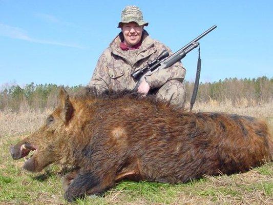 Big Red Russian Boar-Hog Wild USA