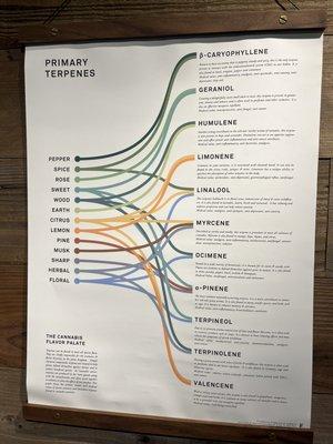 Terpenes!