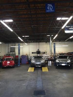 Mini Cooper, Bentley, Porsche all on the bay ready for service.