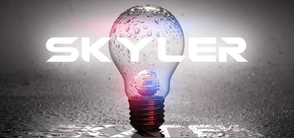 SKYLER TEK LED Lighting