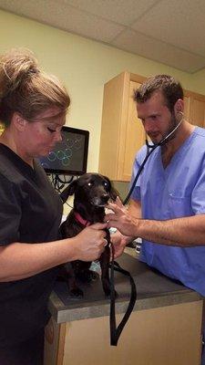 Routine visit, with one of the many rescue groups we work with.