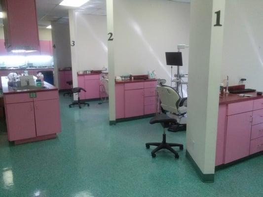 I love how pink this dental office is!