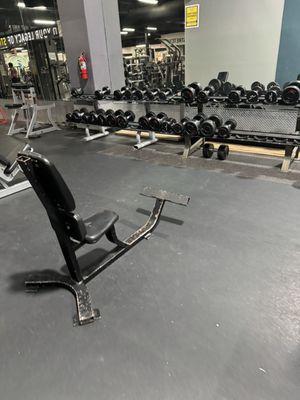 Mess of the free weights