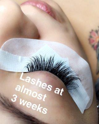 Eyelash extensions at almost 3 weeks! Her lash retention was great