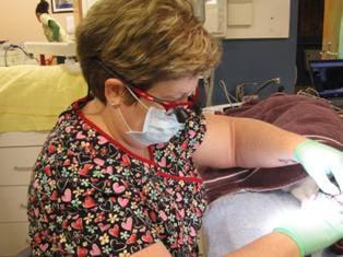 Dr. Libbi Hawkins working on a dental patient