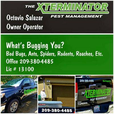 The Xterminator Pest Management