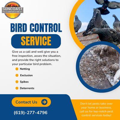 Bird control