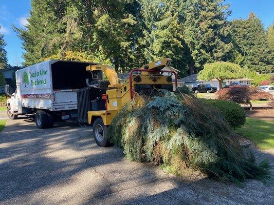 They put everything in the wood chipper and cleaned up afterward.